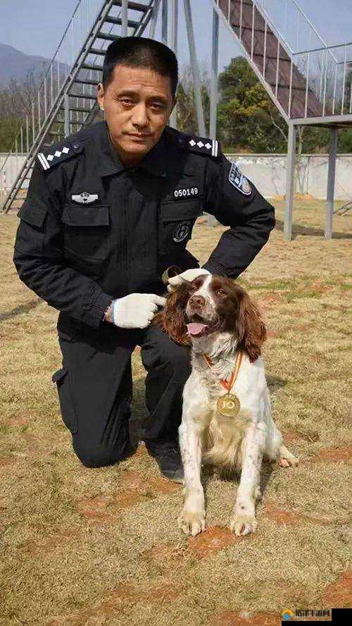 张警犬
